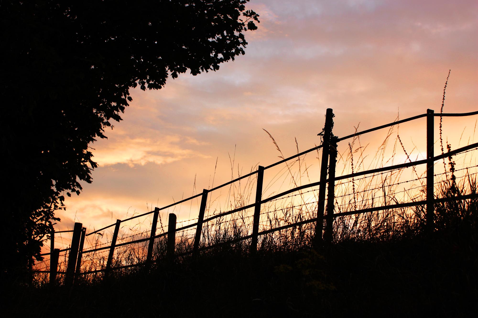 Chain-link perimeter fence along a property line in Sacramento, California