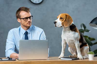Signs You Need To Hire A San Diego Dog Bite Attorney